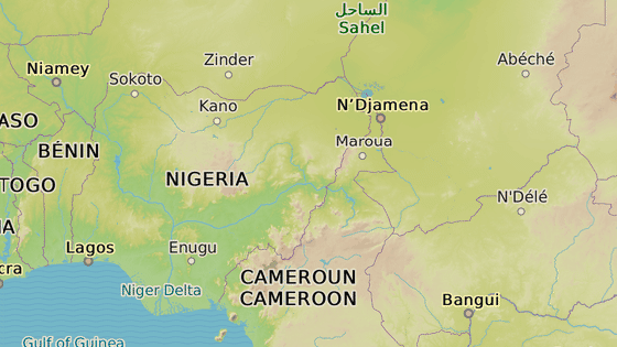 Les Sambisa na severovchod Nigrie. Prv zde sdl sekta Boko Haram a dr zde unesen eny a dti.
