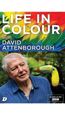 ivot v barv s Davidem Attenboroughem (1)