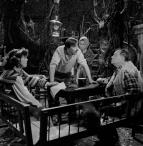 Strach má velké oči