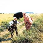 Slunce, seno, erotika