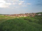 Návraty k divočině