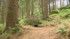 Zázračné studánky