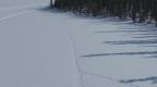 Znovuzrozená divočina Skalnatých hor: Od Yellowstonu k Yukonu (4/4)