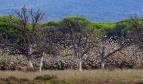Maremma - přírodní skvost Toskánska (1/2)