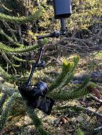 Kořeny života (3/3)