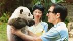 Operace Panda