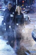 Kriminálka Las Vegas IX (12)