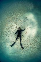 Ningaloo: Australský ráj (2)