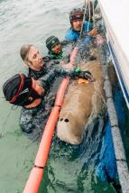 Ningaloo: Australský ráj (2)