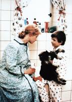 Ako vytrhnúť veľrybe stoličku