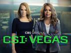 CSI: Las Vegas-i helyszínelők II (13)