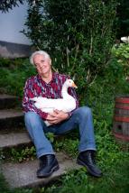 A mi kis falunk V (11)