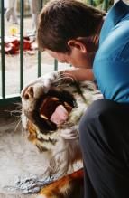 Kriminálka New York II (3)