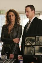 Kriminálka New York II (10)