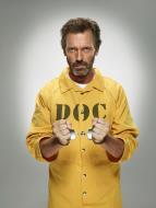 Dr. House VIII (17)