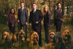 Beze stopy IV (4)