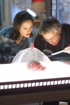 Kriminálka Las Vegas II (10)