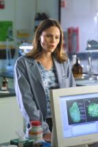 Kriminálka Las Vegas II (14)