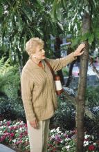 To je vražda, napsala XII (6)