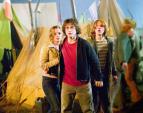 Harry Potter a Ohnivý pohár