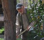 Ach, ty vraždy! (5)