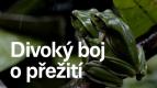 Divoký boj o přežití (7)