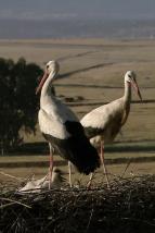 Kalendář přírody (8)