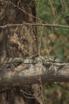 Skryté divy Afriky (3)