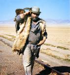 Buddy míří na západ