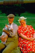 Babe: Prasátko ve městě