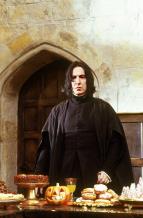 Harry Potter a Kámen mudrců