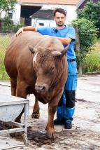 Farmář hledá ženu