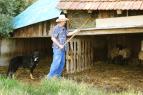 Farmář hledá ženu