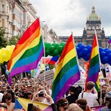 Vrcholem Pride je pochod mstem, kter zan na Vclavskm nmst. (Foto z...