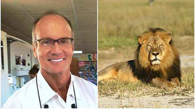 Americký zuba Walter Palmer zabil letos v ervnu lva Cecila v Zimbabwe.