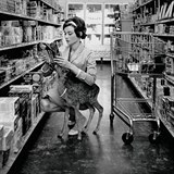 Audrey Hepburn si la nakoupit a mimojin m s sebou i koloucha.