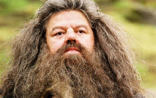 m del a hust, tm lep. Ideln model: Hagrid.