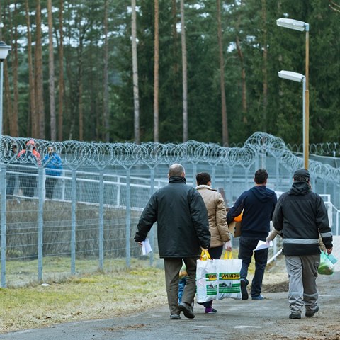 Do Evropy loni dorazilo pes milion uprchlk, ovem napklad Finsko zav u...
