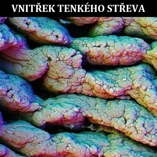 Vnitek tenkho steva.