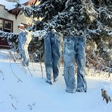V Minnesot je takov zima, e i duchov mus nosit kalhoty.