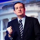 Tohle je mon pt americk prezident: seznamte se, Ted Cruz.