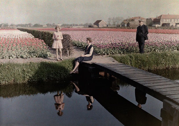 Lid relaxujc u tulipnovho pole, Holandsko, 1931