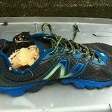 Posledn nalezen noha v beck bot z ple na ostrov Vancouver.