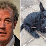 Populrn modertor Jeremy Clarkson (vlevo) byl vedenm televize BBC obvinn z...