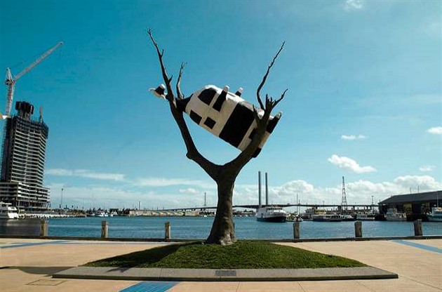 Krvu na strom stvoil umlec John Kelly a skulptura stoj v Melbourne.