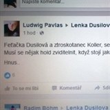 Nechutn vzkazy na facebooku Lenky Dusilov.