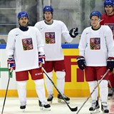 Hlavn esk sla na mistrovstv: Tom Plekanec, Roman ervenka a David...