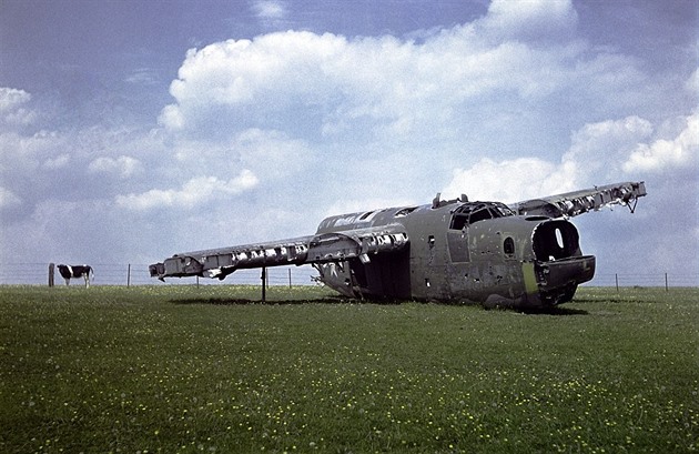 Na polch mezi kravami se povalovaly trosky zcench bombardr.