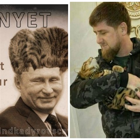Hled se Kadyrova koka.
