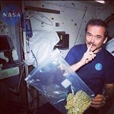 Vzkum uke, jestli kosmonautm pome marihuana pi relaxaci bhem dlouhch...